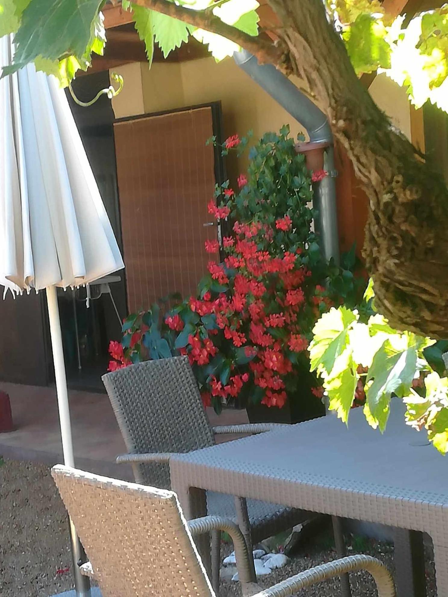 Muskatlis Haz Apartment Balatonlelle Exterior foto